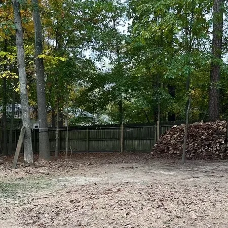 Clean residential work area after tree work