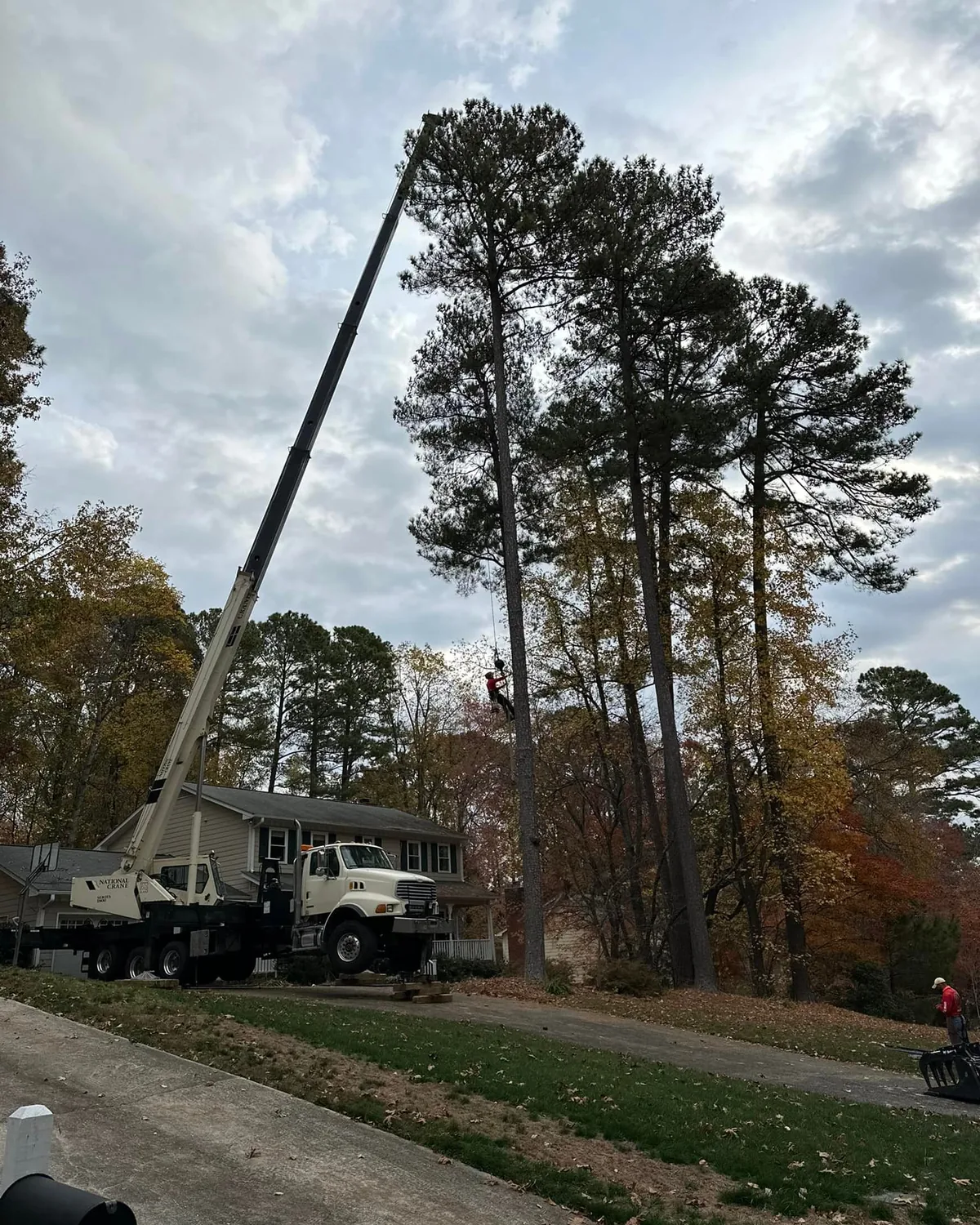 Crane positioned beside a residence for controlled Guzman Brothers tree work