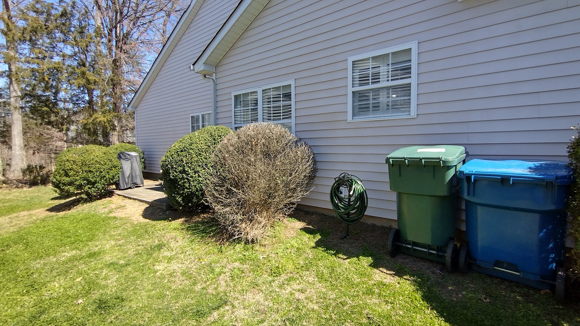 Home and mature trees at a residential tree-work site