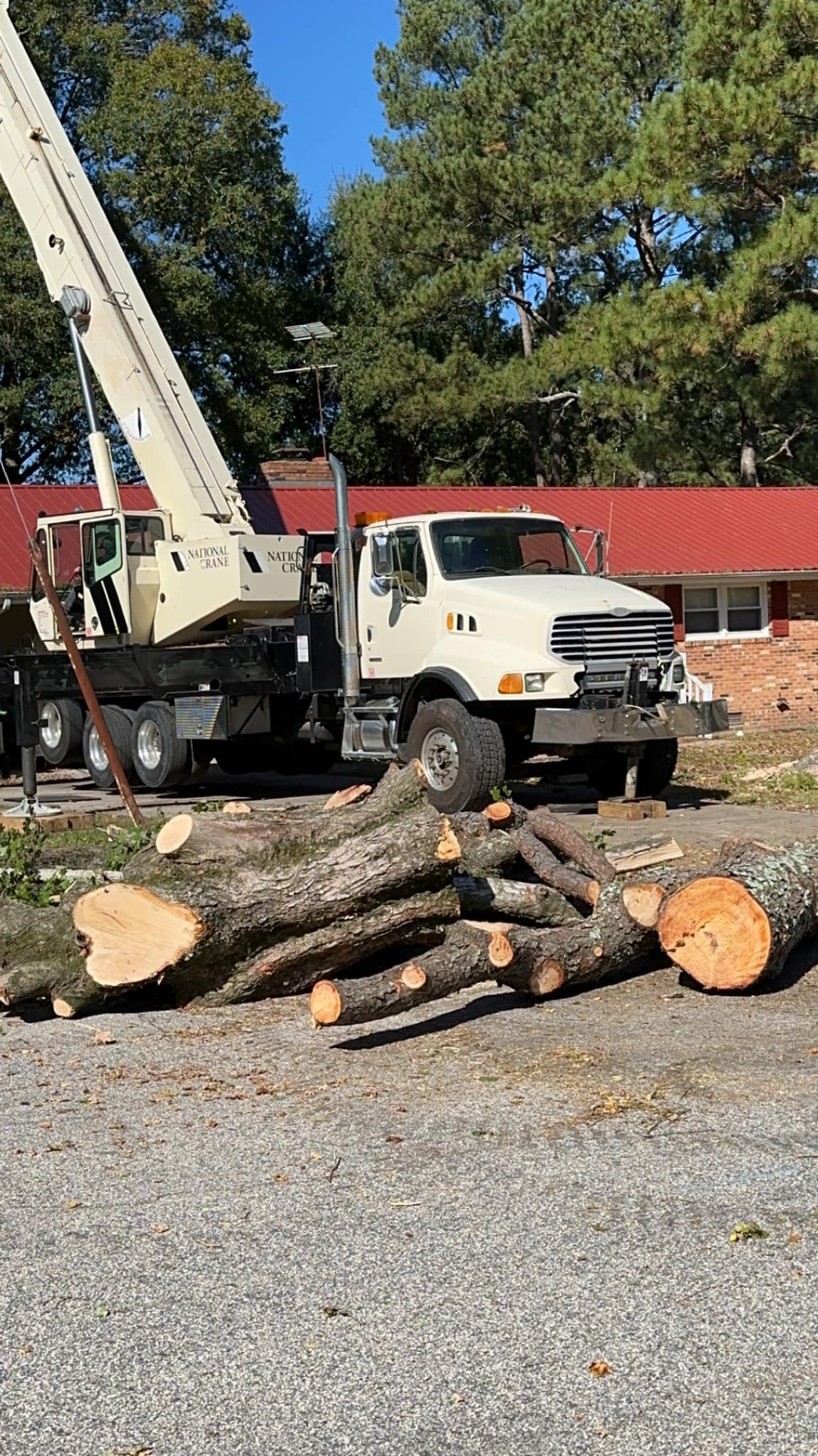 Crane truck and large cut timber at a residential site